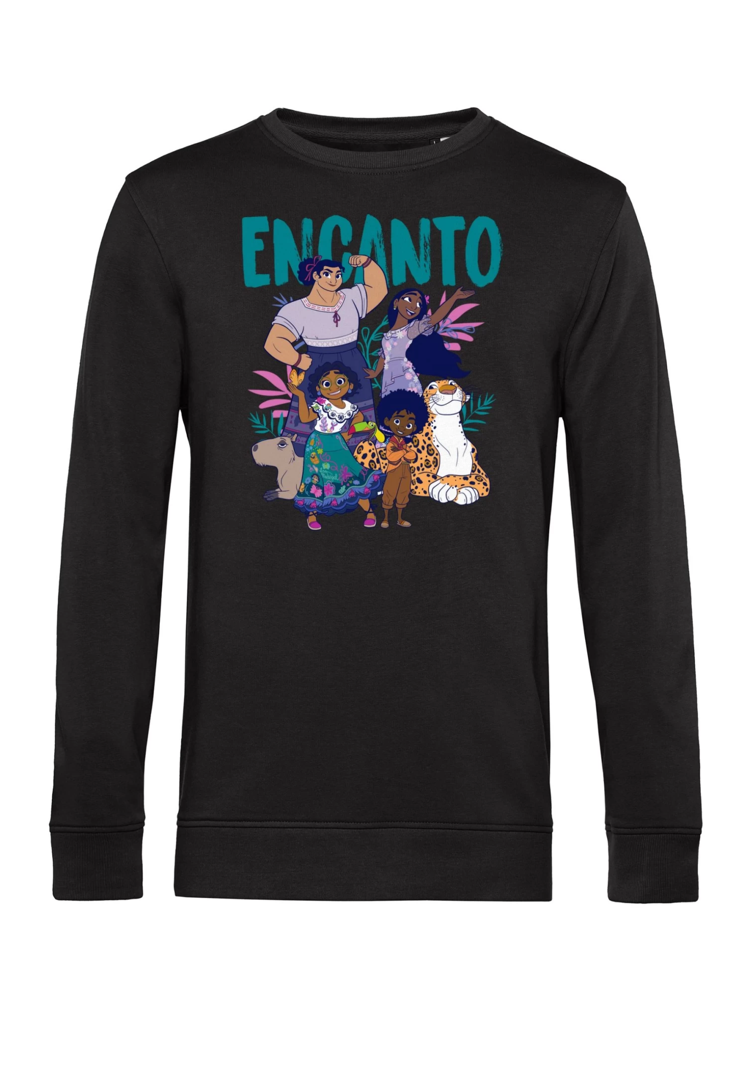 Disney Encanto Encanto Together - Sweater - Black 6 Disney Encanto Encanto Together - Sweater - Black - Afbeelding 4