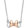 Ketting - Bicolor -Disney 5fdee94c1e344ea09fe62481f4c05e39